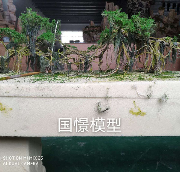 根河市场景模型